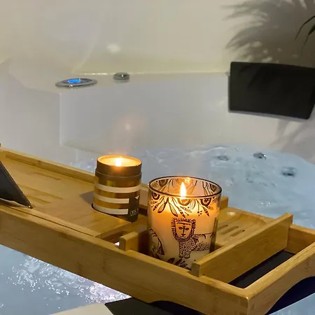 L'oasis Angevine - Balneo, Sauna, Cinema & Parking 公寓 *