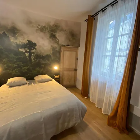 Апартаменты L'oasis Angevine - Clim, Balneo, Sauna, Cinema & Parking Анже