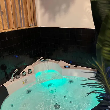 L'oasis Angevine - Balneo, Sauna, Cinema & Parking 公寓