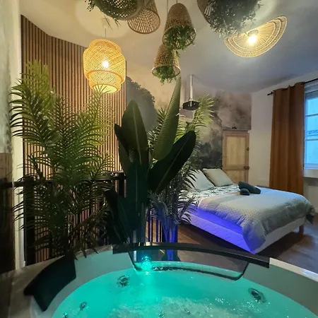 L'oasis Angevine - Balneo, Sauna, Cinema & Parking 公寓 *