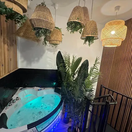 L'oasis Angevine - Clim, Balneo, Sauna, Cinema & Parking