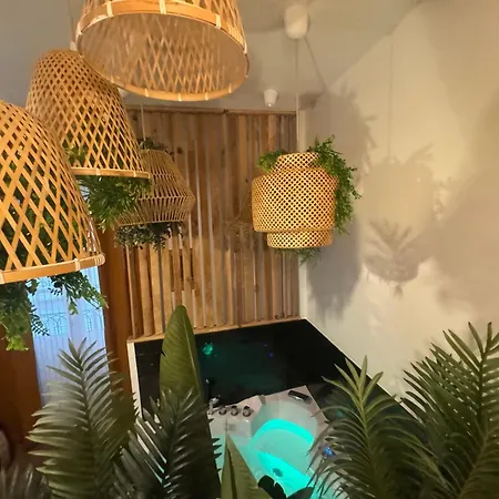 L'oasis Angevine - Balneo, Sauna, Cinema & Parking Apartment Angers