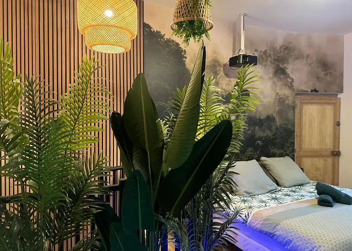 Apartmán L'oasis Angevine - Balneo, Sauna, Cinema & Parking Angers