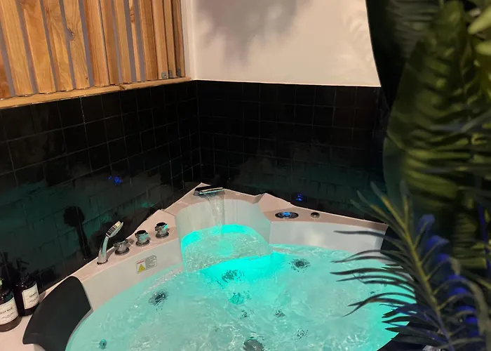 L'oasis Angevine - Balneo, Sauna, Cinema & Parking Apartmán