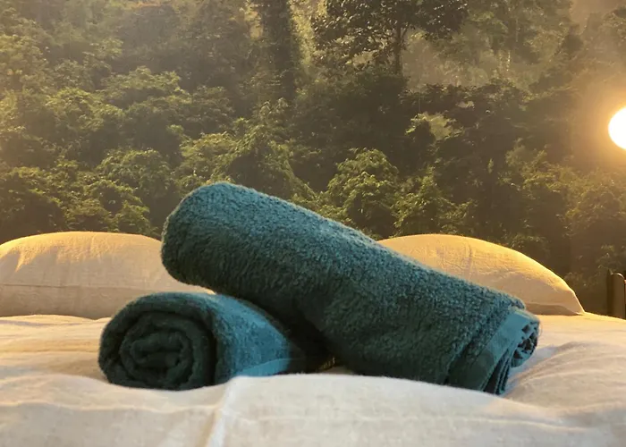 L'oasis Angevine - Balneo, Sauna, Cinema & Parking * Angers